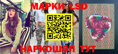 мяу мяу мука Моздок