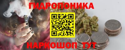 ПСИЛОЦИБИНОВЫЕ ГРИБЫ Можга