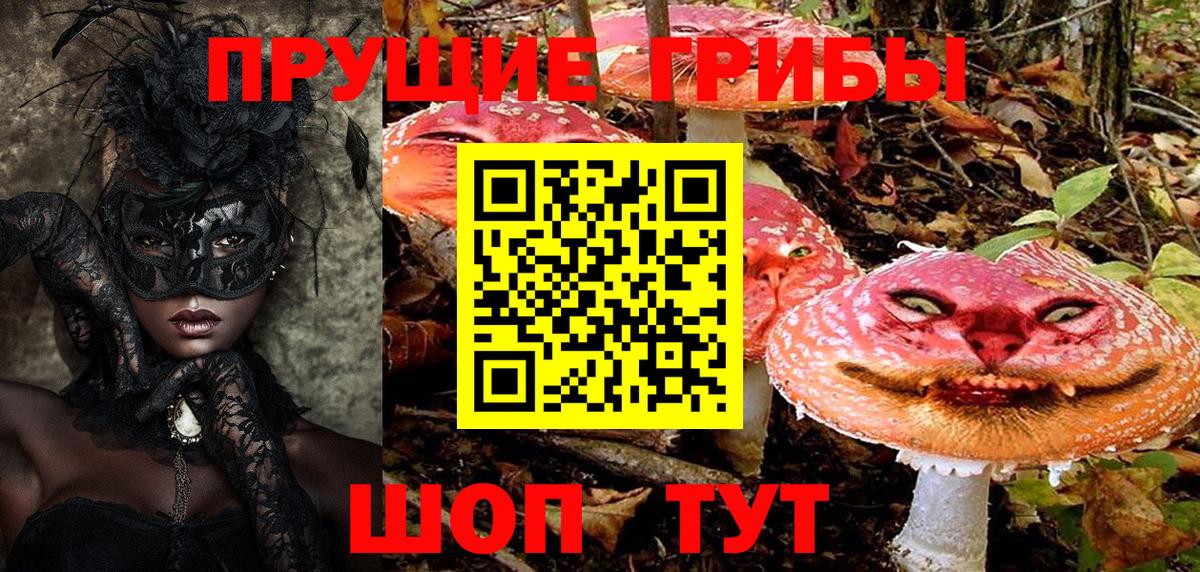 Галлюциногенные грибы Psilocybine cubensis  Вход с VPN  закладки  Псилоцибиновые грибы Magic Shrooms  Улан-Удэ 
